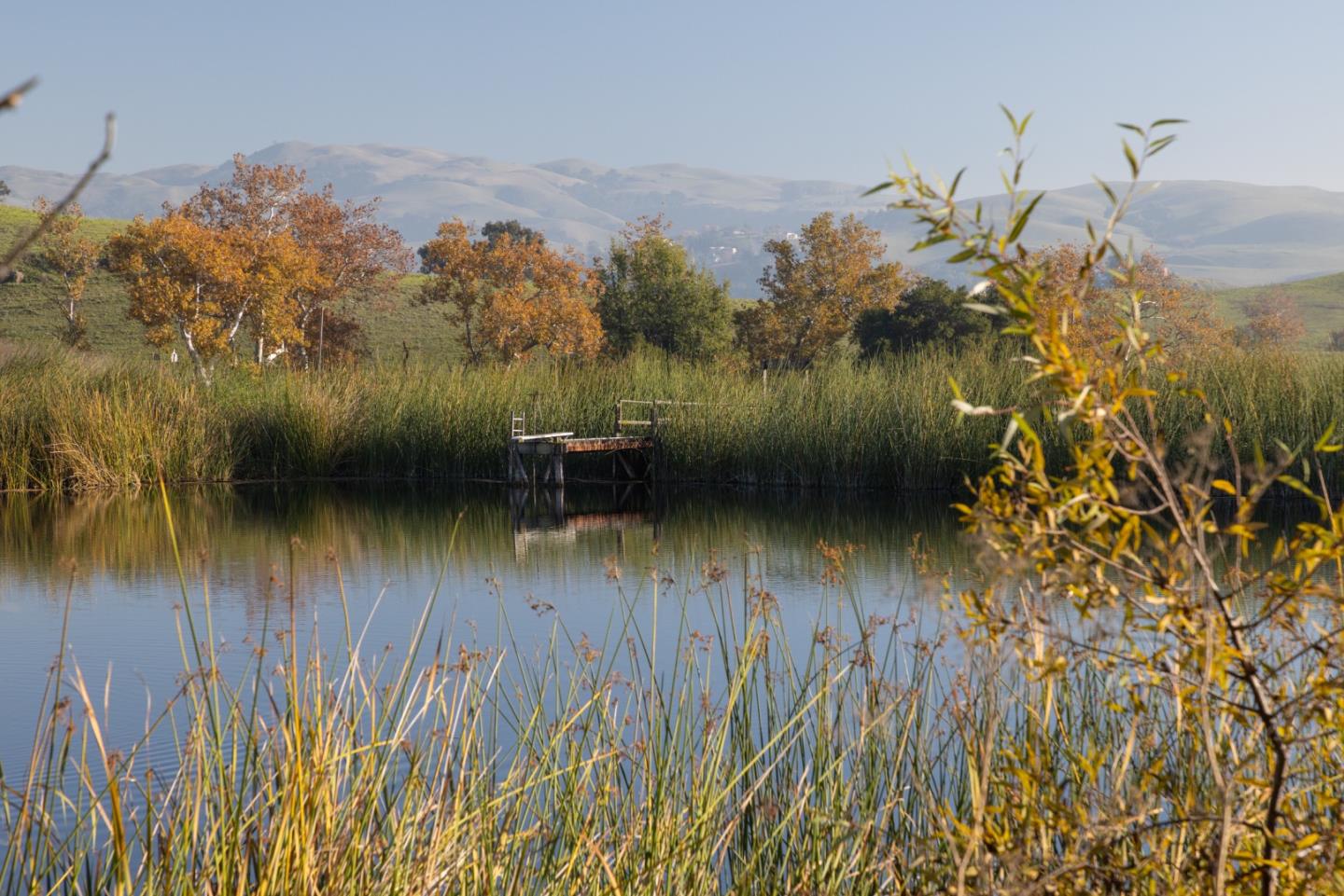 2000 Scott Creek Road Milpitas, CA 95035 - Photo 29 of 89