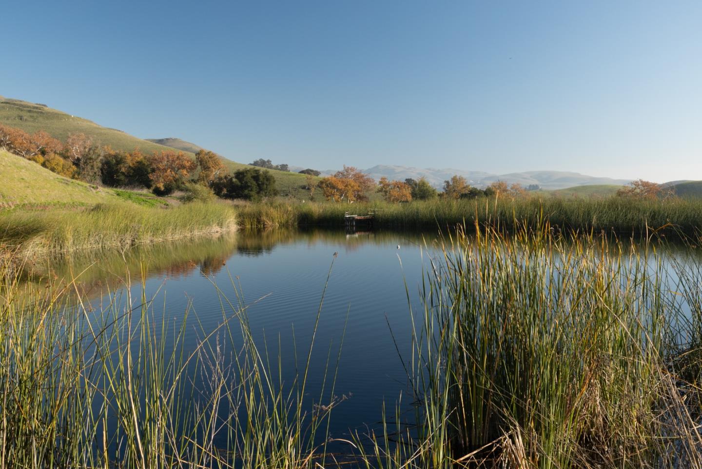 2000 Scott Creek Road Milpitas, CA 95035 - Photo 30 of 89 a view of lake