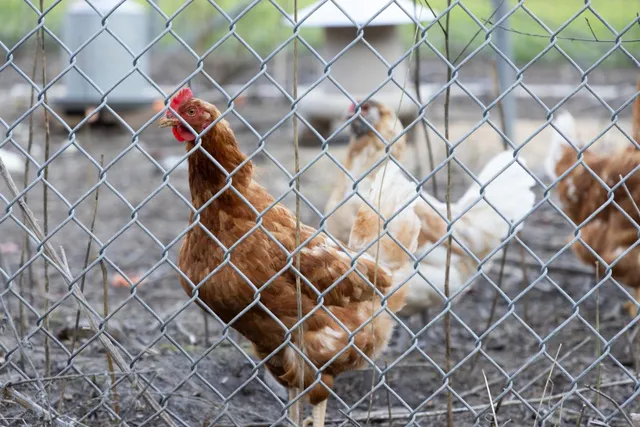 $30,000,000 | 2000 Scott Creek Road, Milpitas, CA 95035