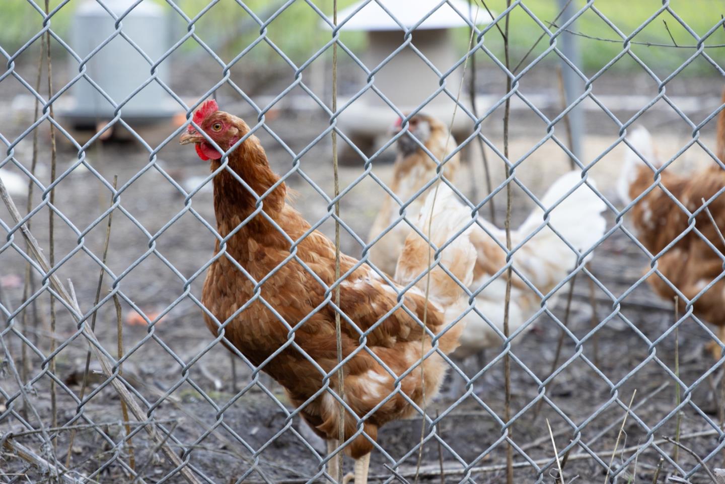 2000 Scott Creek Road Milpitas, CA 95035 - Photo 44 of 89