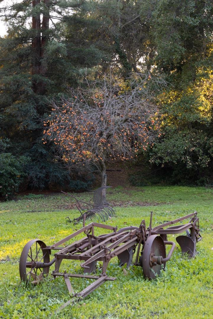 2000 Scott Creek Road Milpitas, CA 95035 - Photo 45 of 89 a view of a swimming pool with a yard
