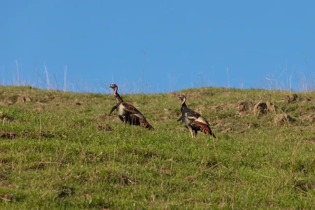 $30,000,000 | 2000 Scott Creek Road, Milpitas, CA 95035