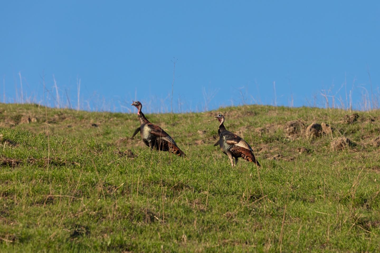 2000 Scott Creek Road Milpitas, CA 95035 - Photo 46 of 89 a view of a room