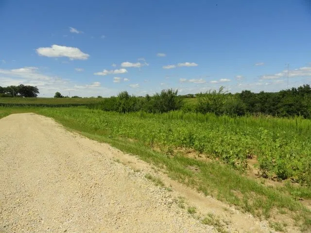 $385,000 | Lot 4 County Road S, Mt Horeb, WI 53572
