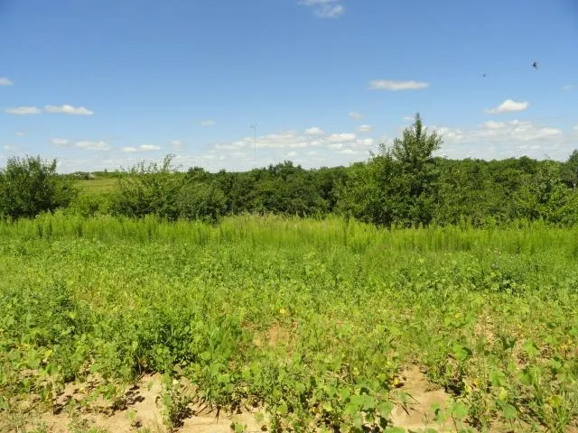 $385,000 | Lot 4 County Road S, Mt Horeb, WI 53572