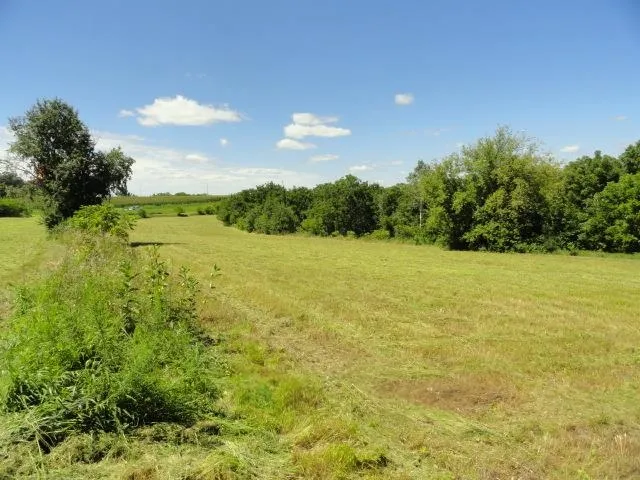 $385,000 | Lot 4 County Road S, Mt Horeb, WI 53572