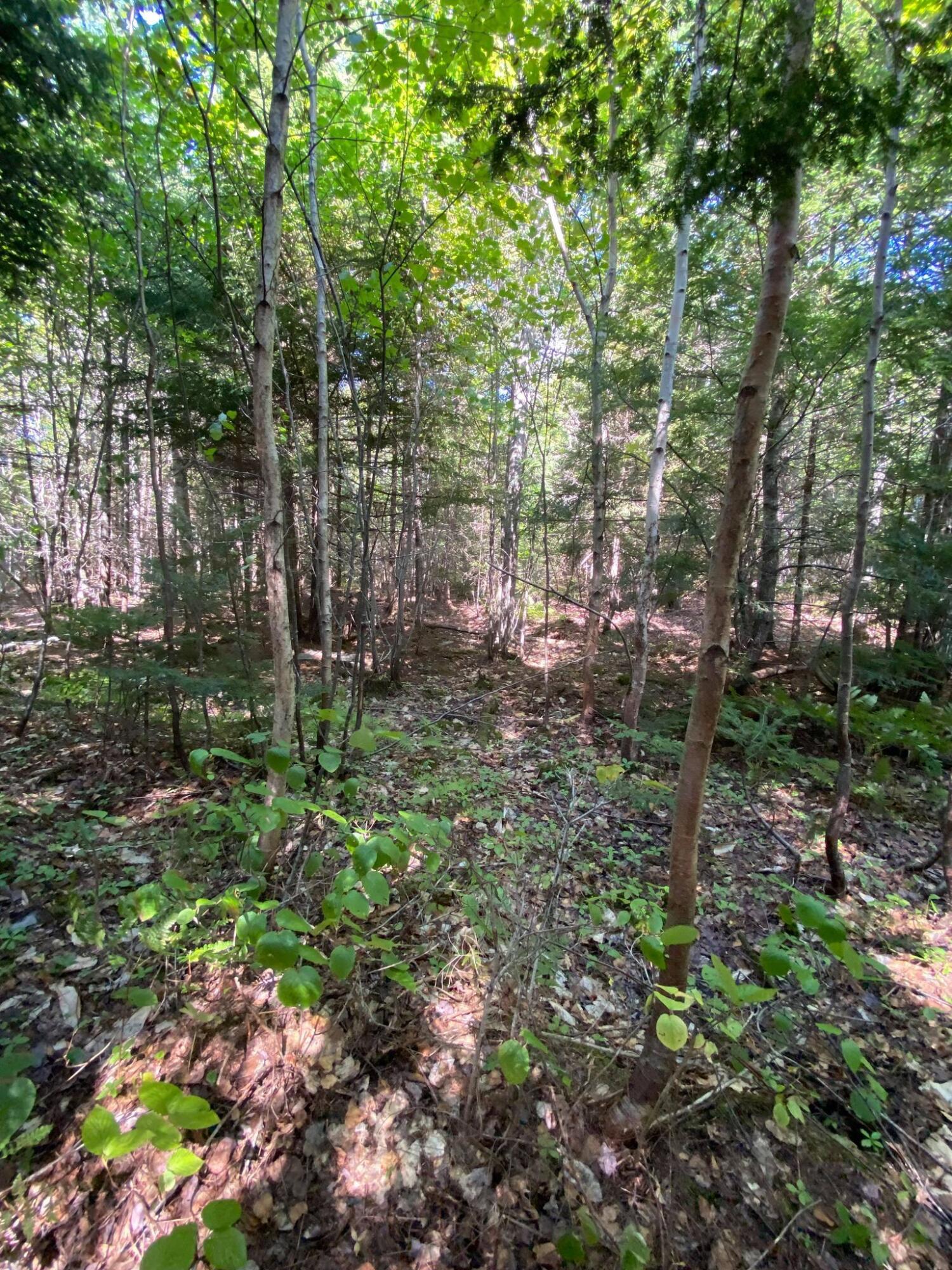 Tbd Steward Road Monson, ME 04464 - Photo 2 of 12 240662148_1064284397707889_1267413084476