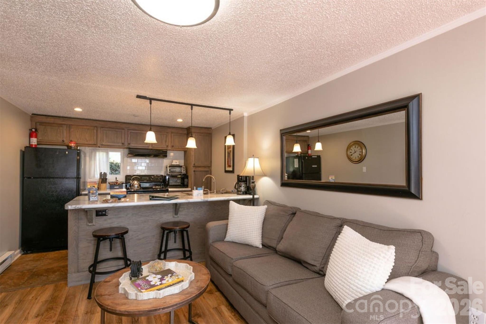7 North Delano Road Asheville, NC 28805 - Photo 16 of 32 a living room with stainless steel appliances furniture a rug and a kitchen view