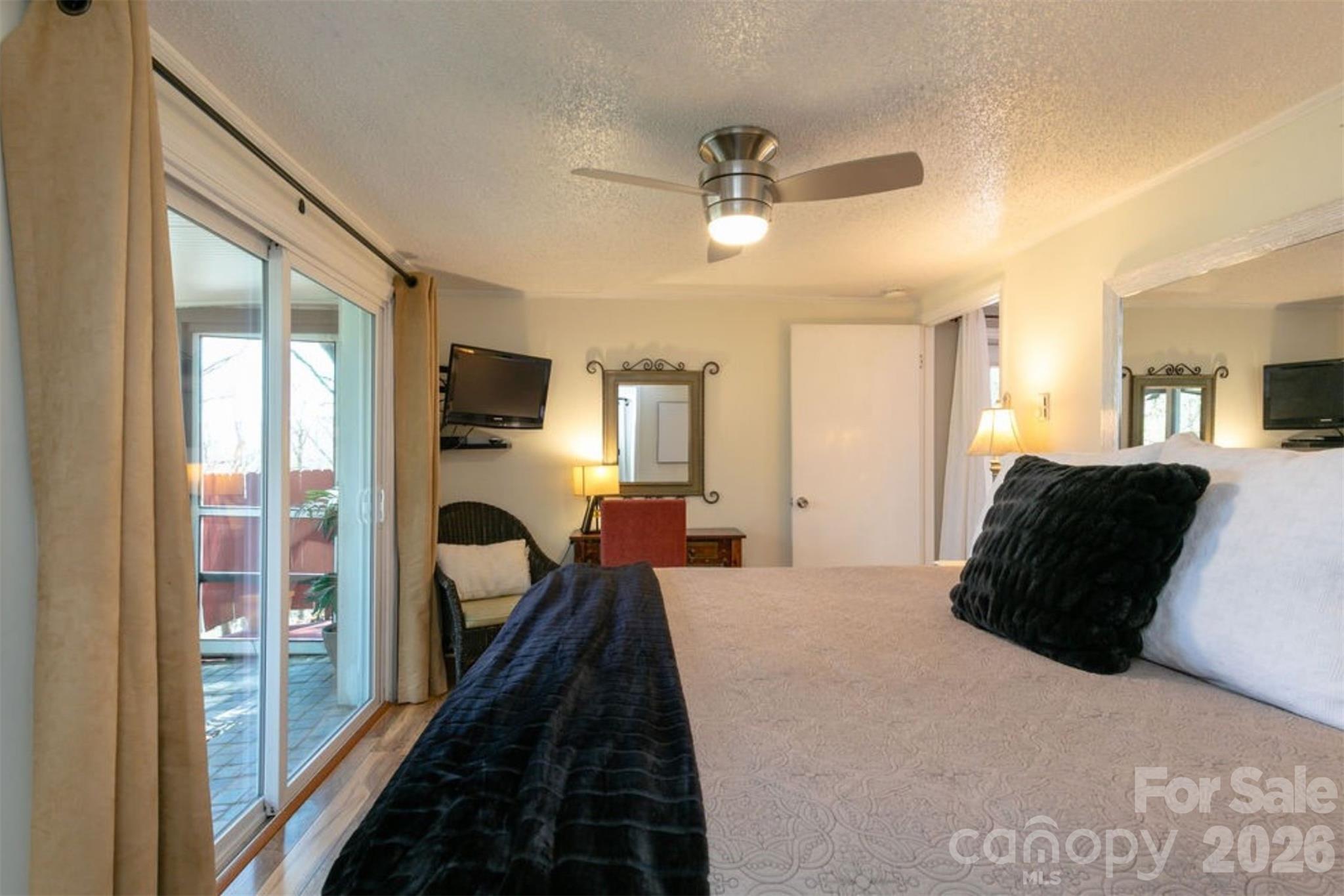 7 North Delano Road Asheville, NC 28805 - Photo 24 of 32 a bedroom with a bed and a large mirror