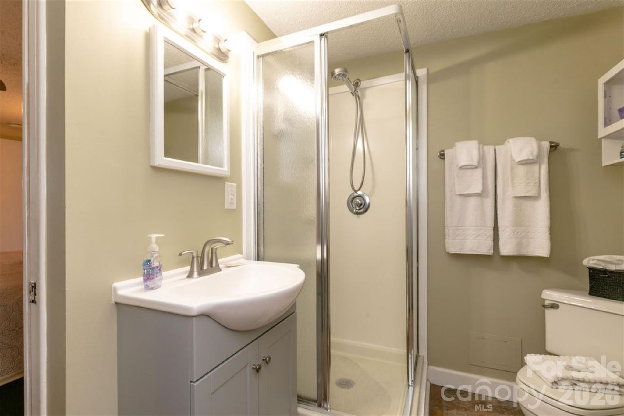 7 North Delano Road Asheville, NC 28805 - Photo 25 of 32 a bathroom with a sink toilet and shower