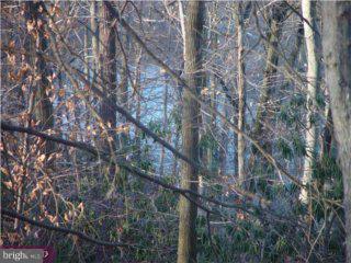 Lot 1 Paxson Road New Hope, PA 18938 - Photo 1 of 3