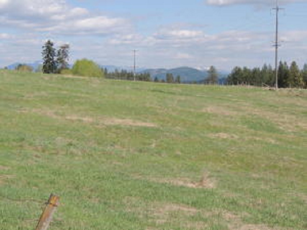 Tbd Tbd Summit Valley Road Chewelah, WA 99109 - Photo 2 of 3 Gallery Image 2