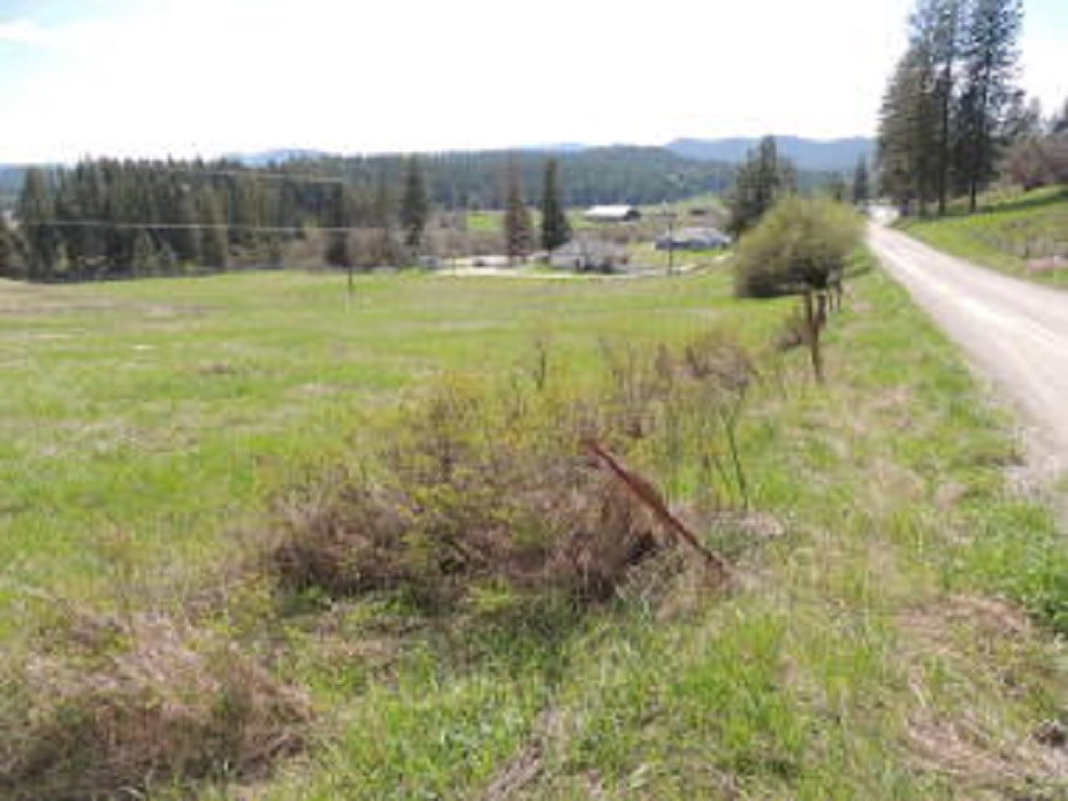 Tbd Tbd Summit Valley Road Chewelah, WA 99109 - Photo 3 of 3 Gallery Image 3