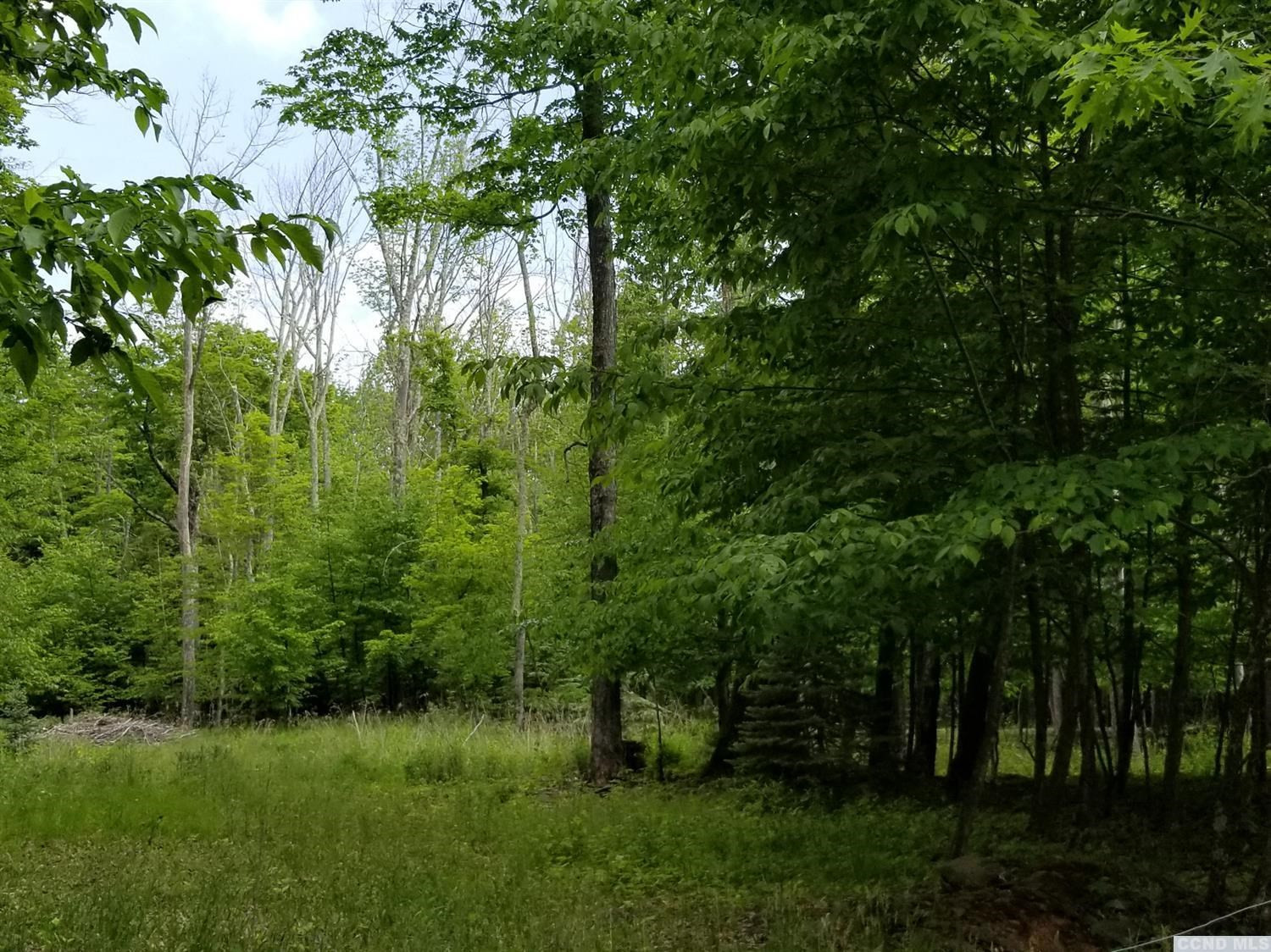0 Zinno Road Windham, NY 12496 - Photo 3 of 13 Photo 3