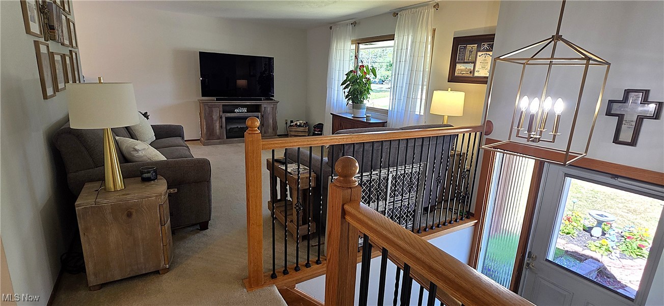 15485 Albion Road Strongsville, OH 44136 - Photo 8 of 36 Spacious living room with carpet over hardwood floors, filled with natural light—perfect for relaxing or entertaining