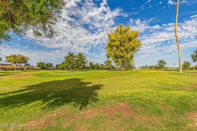 a view of a swimming pool with a garden and palm trees