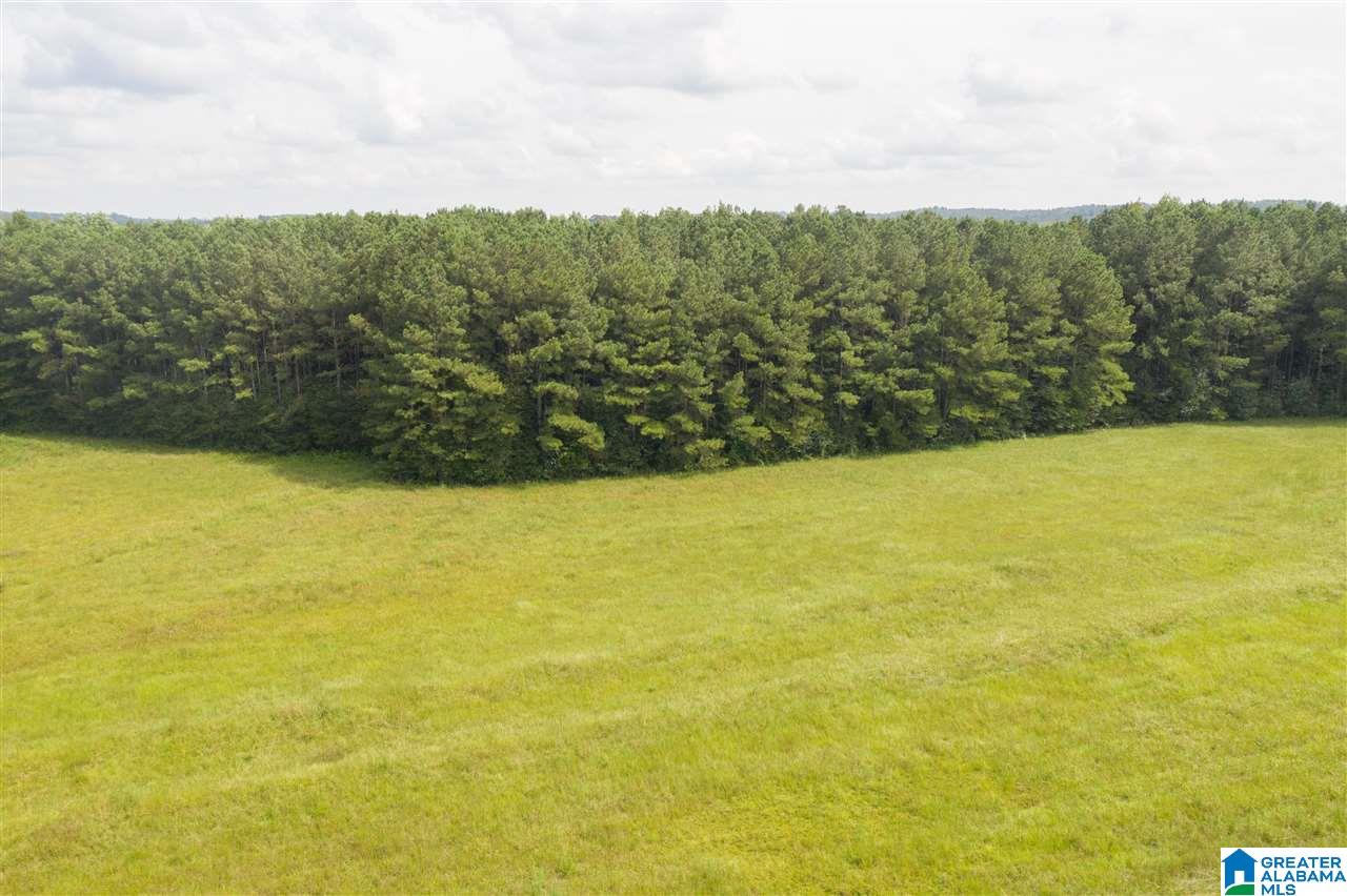 205 County Road 3 Reform, AL 35481 - Photo 22 of 46