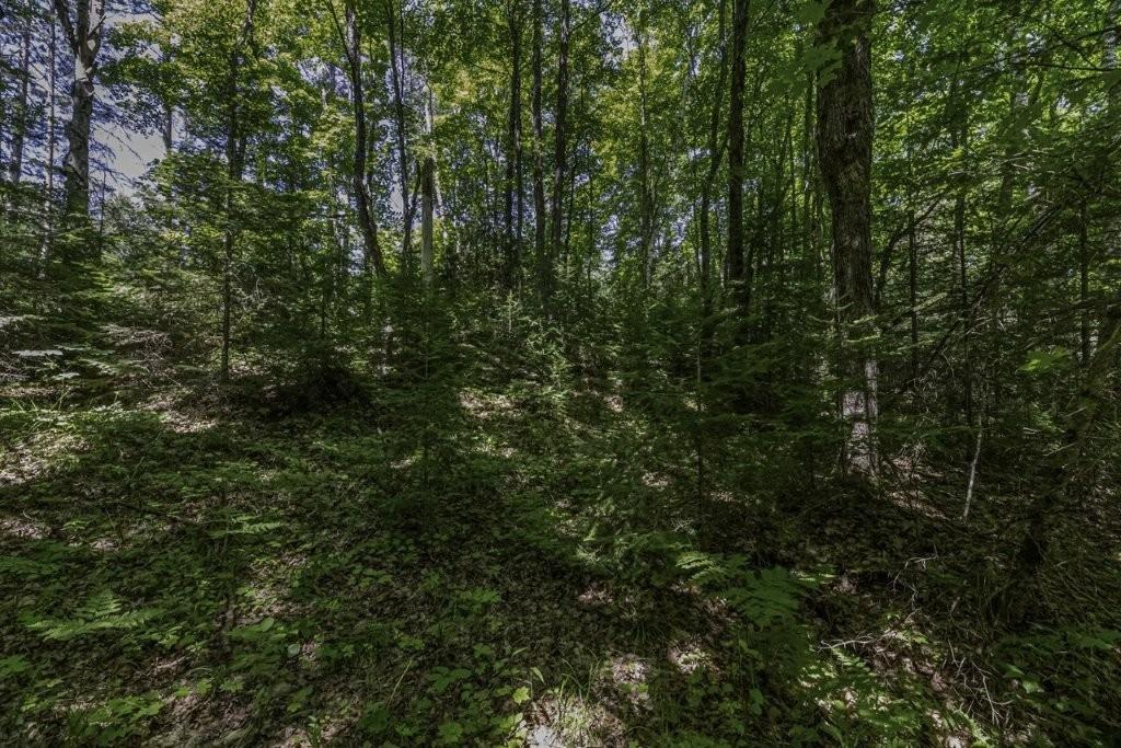 31 Mallard Landing Road Presque Isle, WI 54557 - Photo 11 of 17 Gallery Image 11