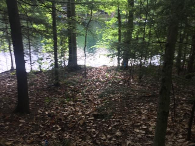Lot 3 Coffee Pond Road Casco, ME 04015 - Photo 1 of 9 IMG_2768