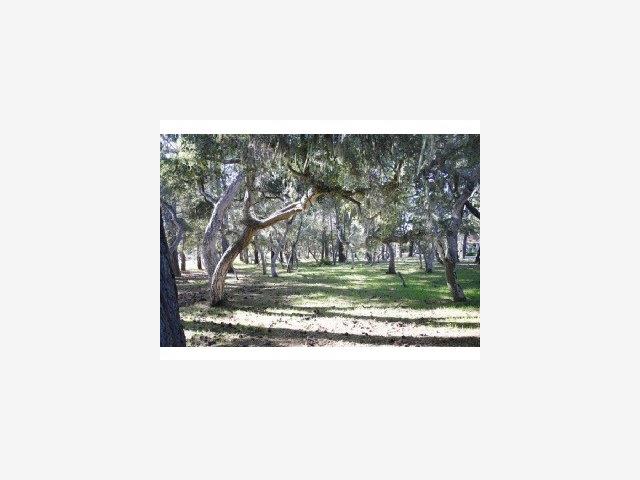 2862 Lasauen Road Pebble Beach, CA 93953 - Photo 9 of 9 Gallery Image 9
