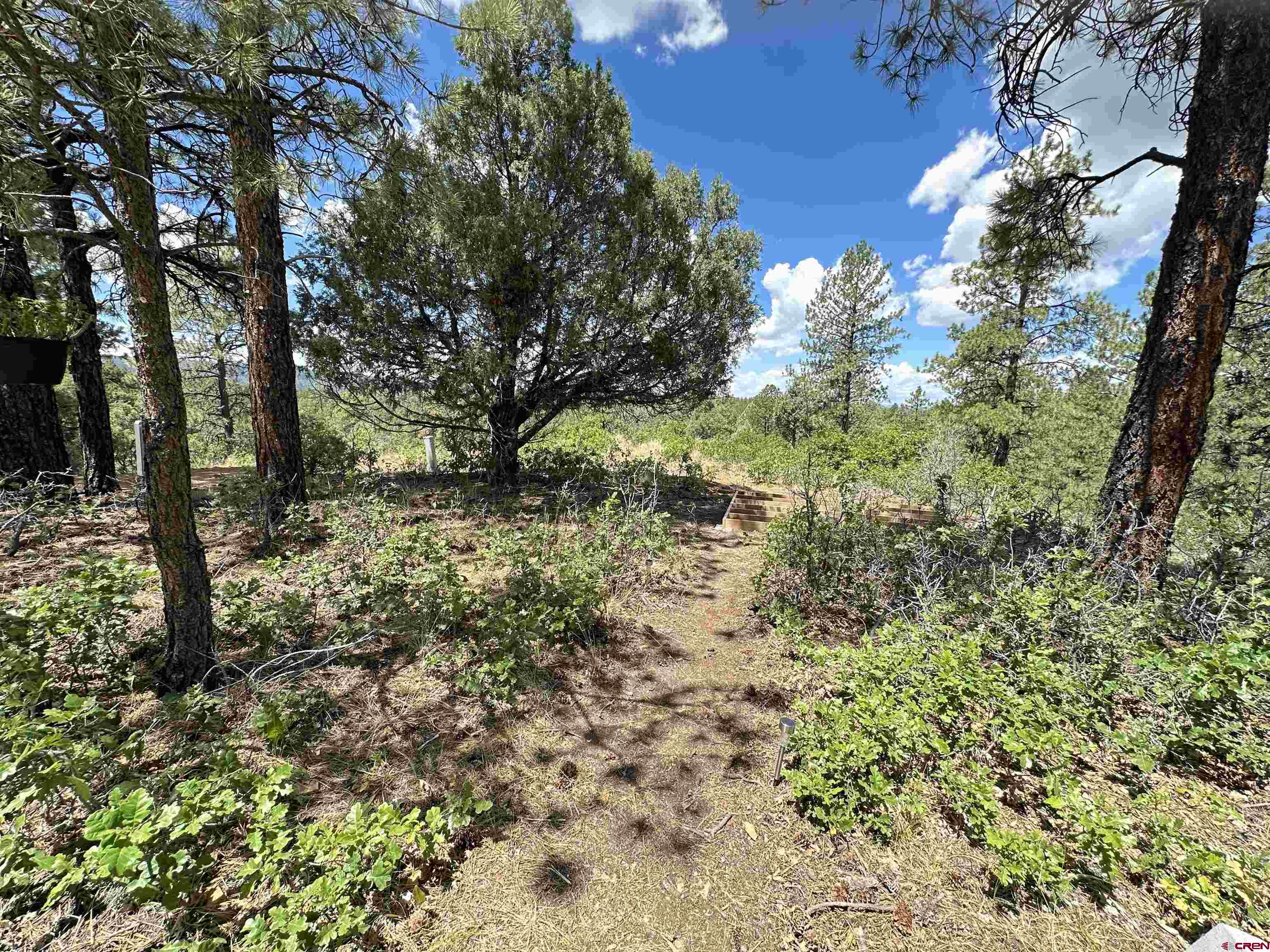 121 Engineer Point Pagosa Springs, CO 81147 - Photo 24 of 43