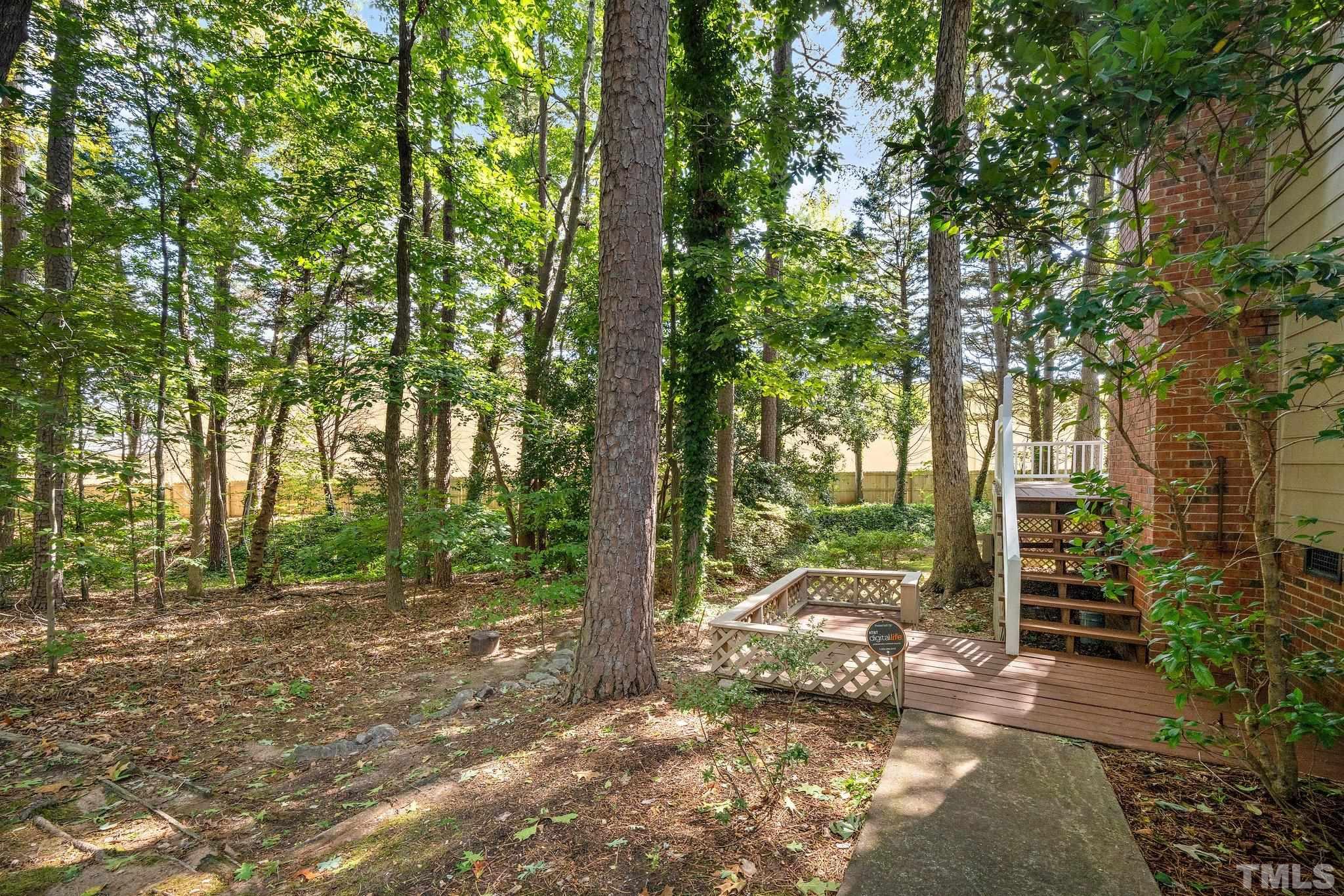 902 Bridge Way Raleigh, NC 27615 - Photo 22 of 27 a view of a forest with trees
