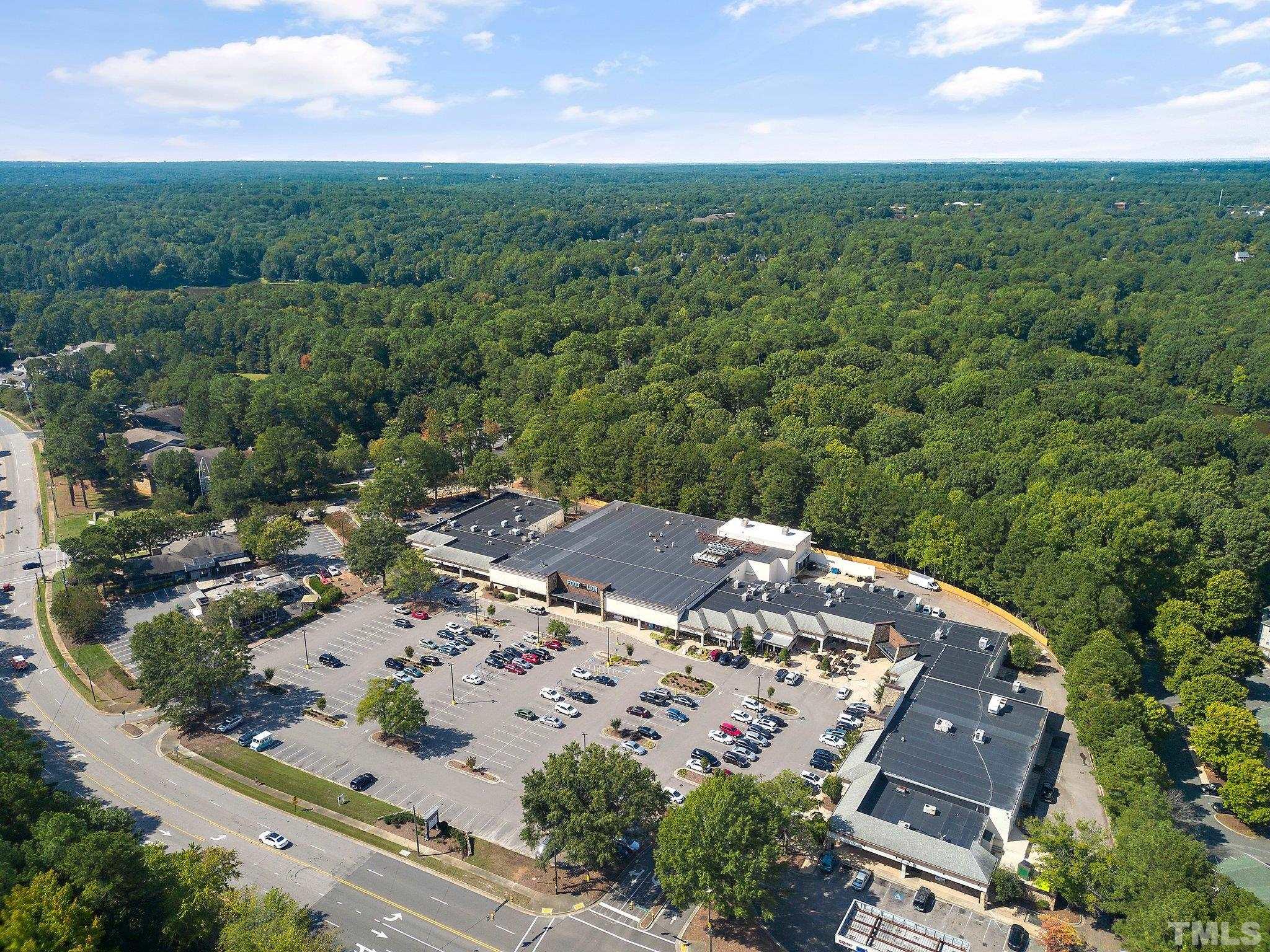 902 Bridge Way Raleigh, NC 27615 - Photo 26 of 27 an aerial view of a house with a garden