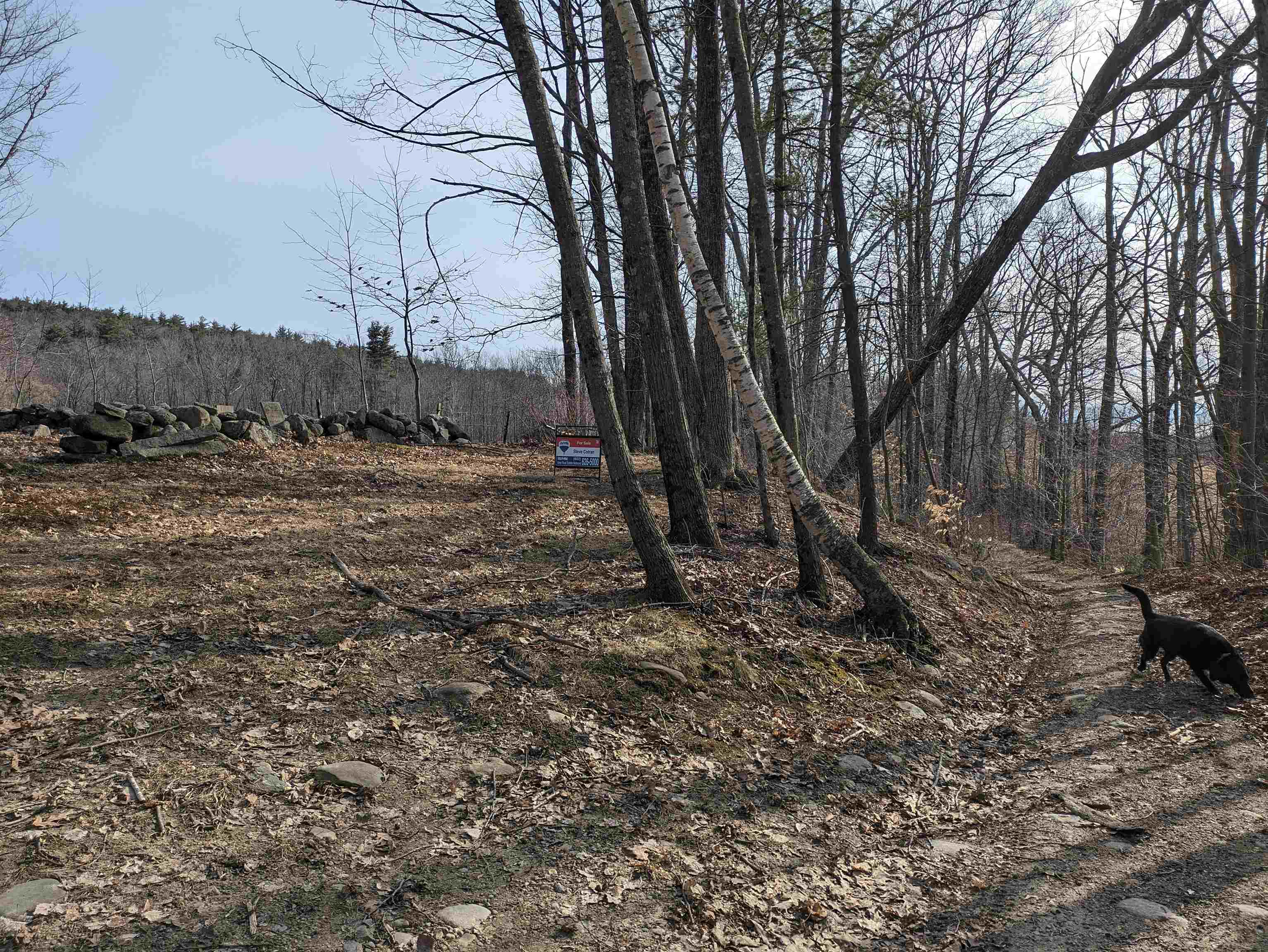 0 Old Mountain Road Epsom, NH 03234 - Photo 5 of 32