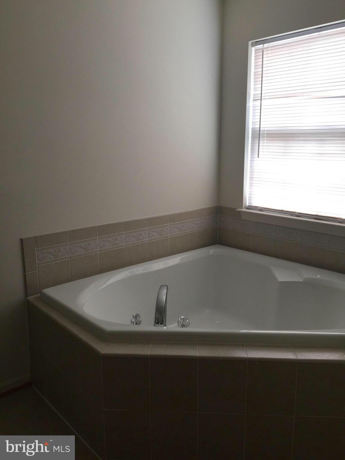 9818 Davison Road Baltimore, MD 21220 - Photo 12 of 12 Bath (Master)
