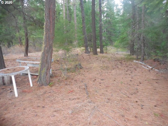 782 Cedar Valley Road Goldendale, WA 98620 - Photo 14 of 25 Gallery Image 14