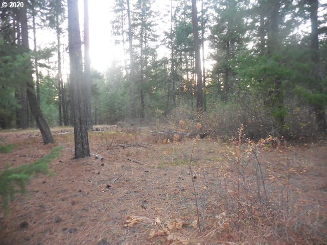 782 Cedar Valley Road Goldendale, WA 98620 - Photo 15 of 25 Gallery Image 15