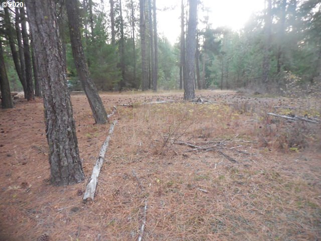 782 Cedar Valley Road Goldendale, WA 98620 - Photo 17 of 25 Gallery Image 17