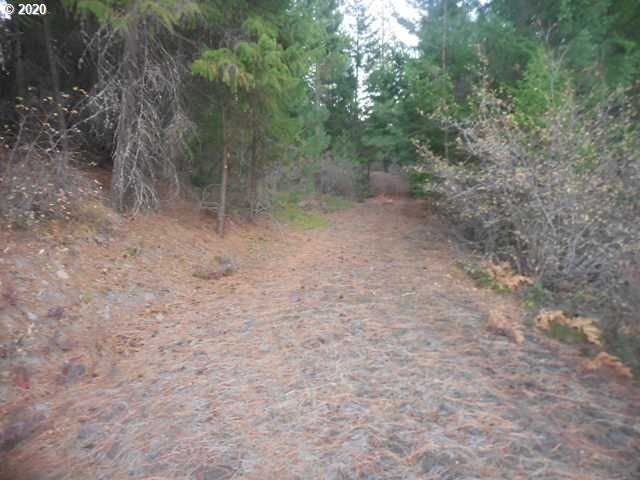 782 Cedar Valley Road Goldendale, WA 98620 - Photo 3 of 25 Gallery Image 3