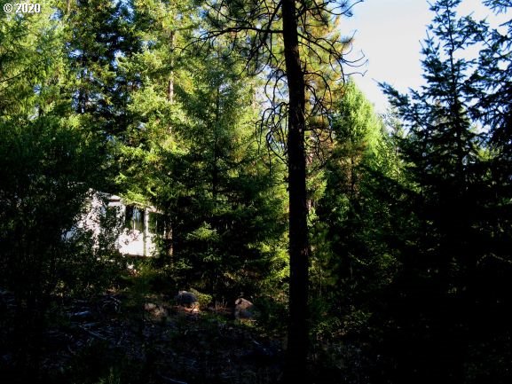 782 Cedar Valley Road Goldendale, WA 98620 - Photo 23 of 25 Gallery Image 23