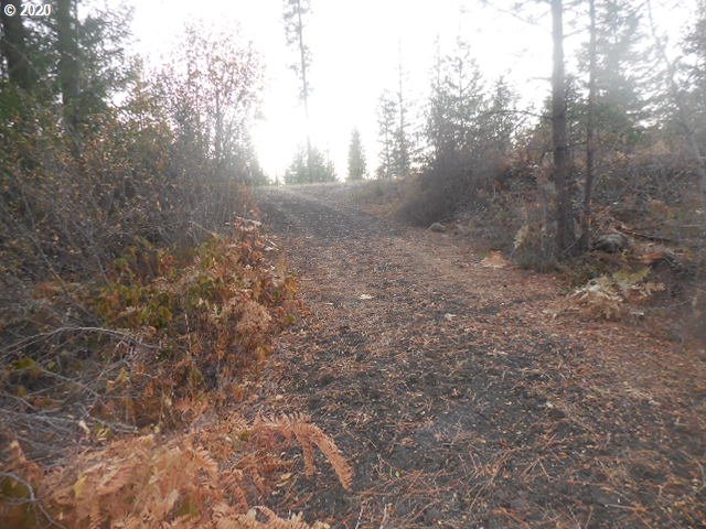 782 Cedar Valley Road Goldendale, WA 98620 - Photo 5 of 25 Gallery Image 5