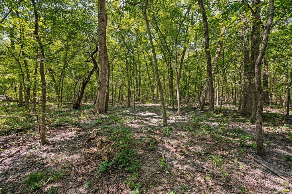 555 Yowell Hill Road Tom Bean, TX 75491 - Photo 8 of 33