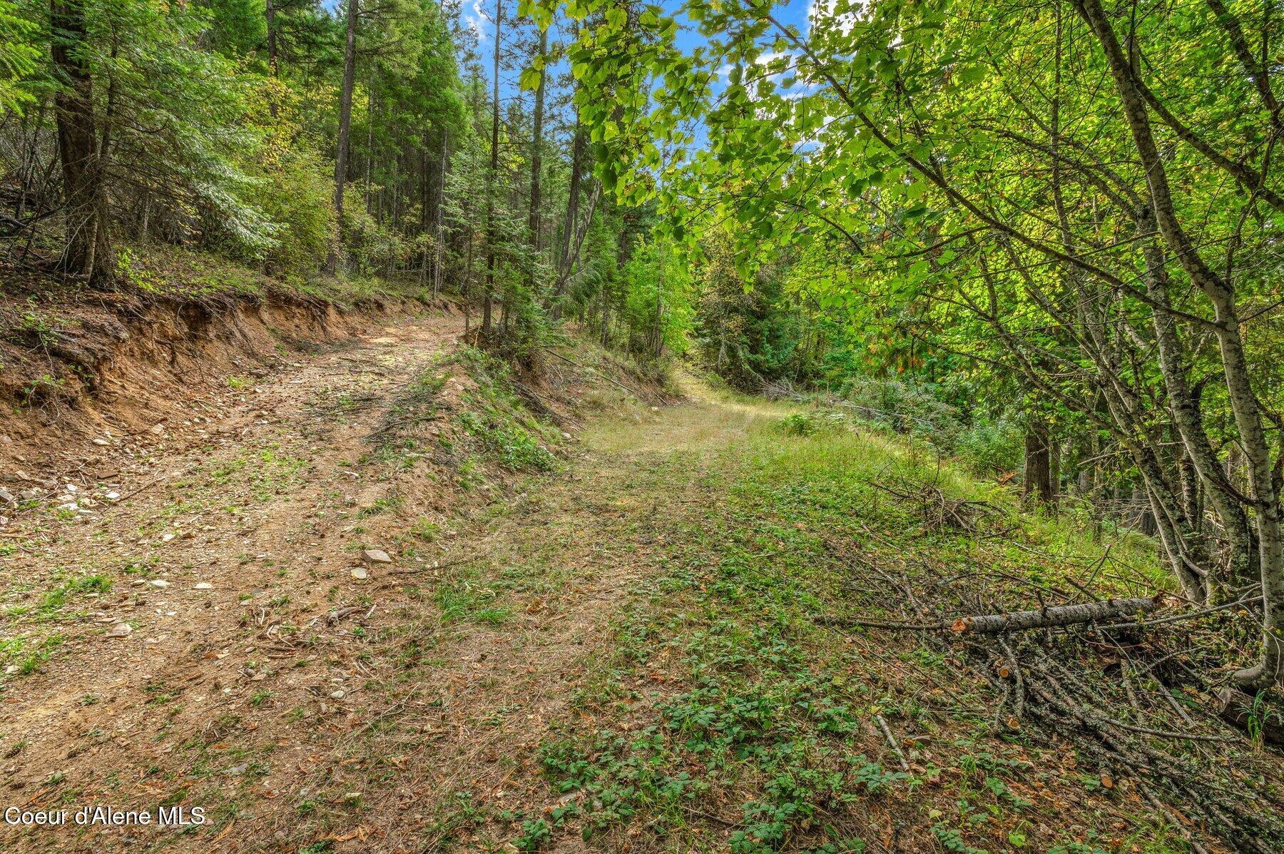 818 Silver Creek Road Clark Fork, ID 83811 - Photo 11 of 45 Plethora of Trails
