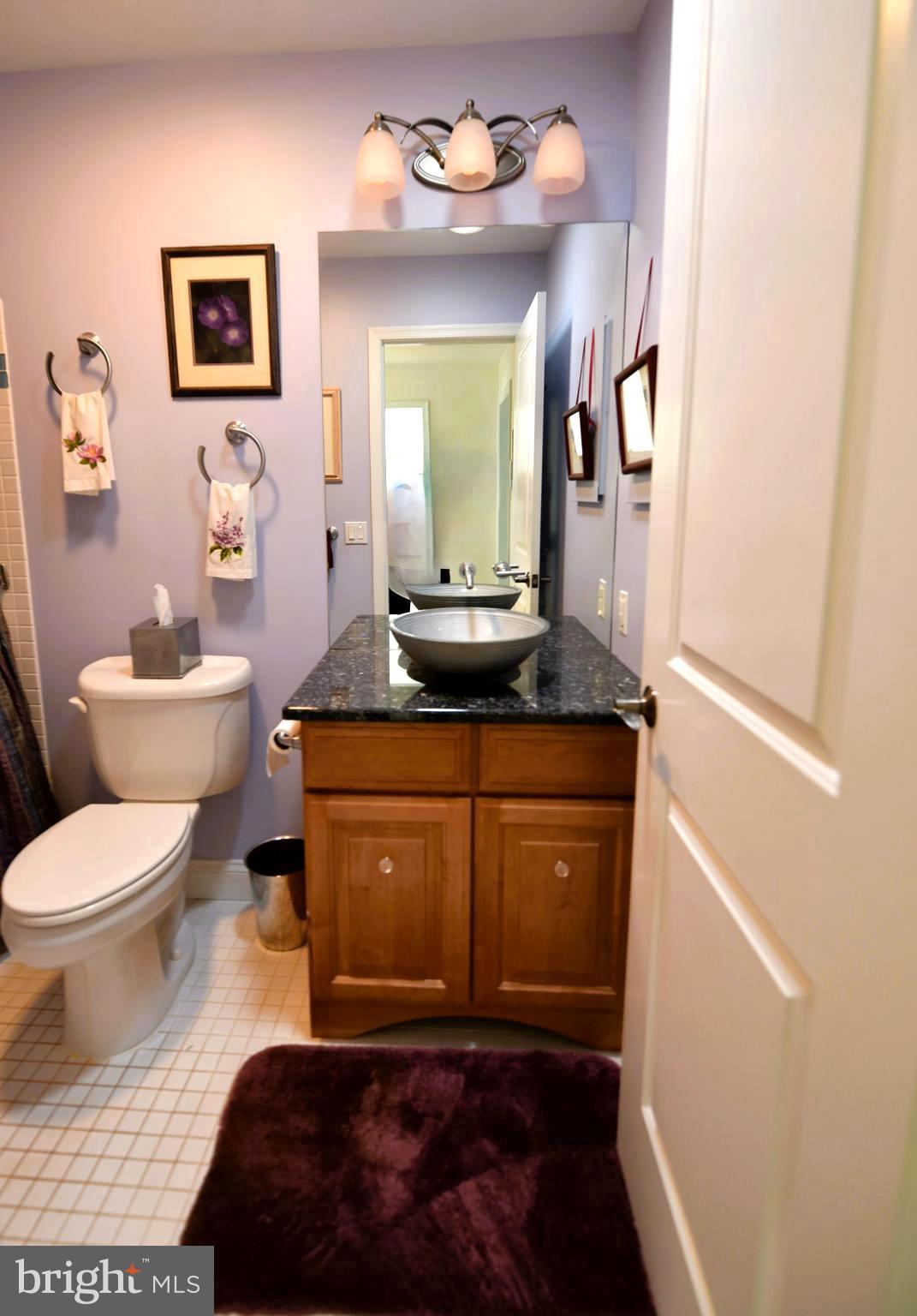 110 Birch Run Road Chestertown, MD 21620 - Photo 12 of 29 Guest bathroom w, tub/shower