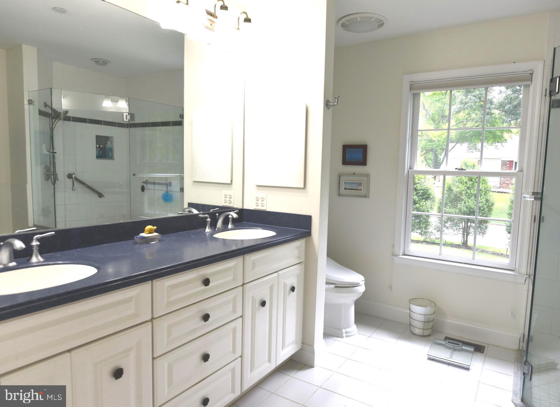 110 Birch Run Road Chestertown, MD 21620 - Photo 16 of 29 Double sinks in Master Bath