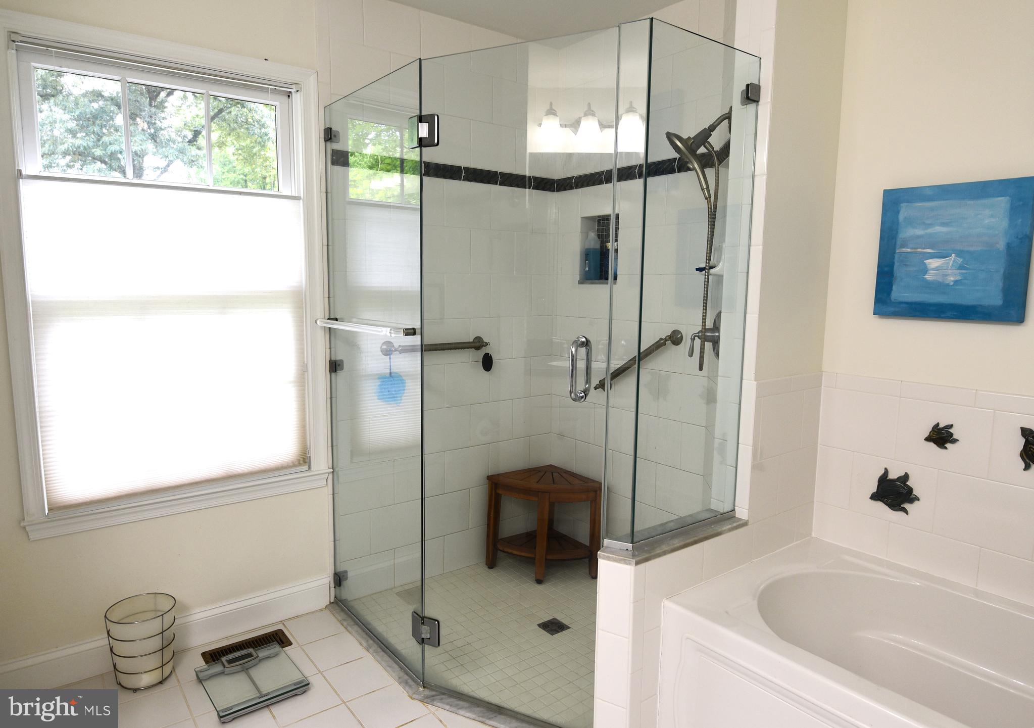 110 Birch Run Road Chestertown, MD 21620 - Photo 17 of 29 Glass walled walk -in shower & soakng tub