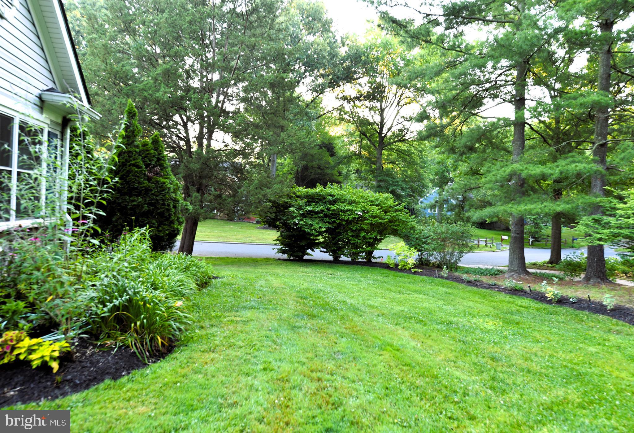 110 Birch Run Road Chestertown, MD 21620 - Photo 27 of 29 Side yard