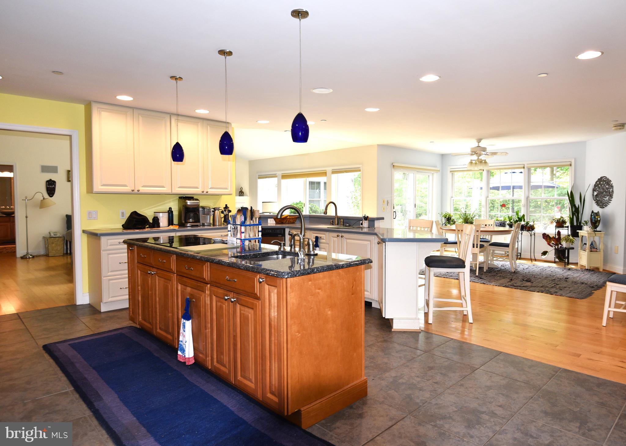 110 Birch Run Road Chestertown, MD 21620 - Photo 8 of 29 Kitchen w. island & breakfast bar