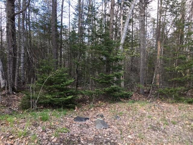 Lot 302 Stream Road St. Albans, ME 04971 - Photo 2 of 6 Land 2