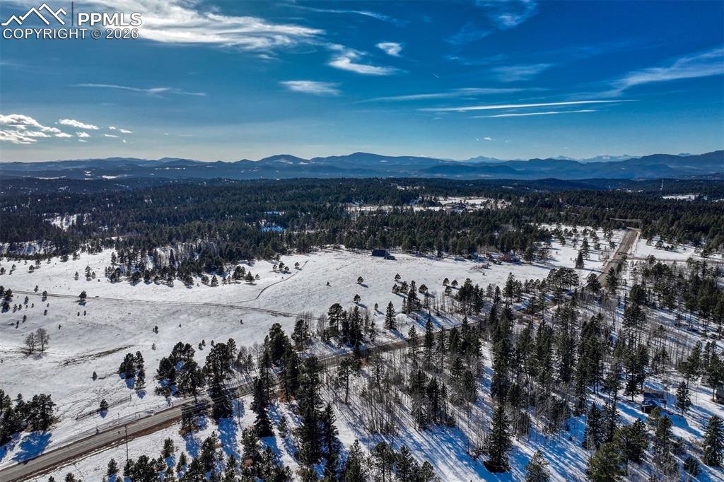 866 Aspen Village Road Divide, CO 80814 - Photo 22 of 23