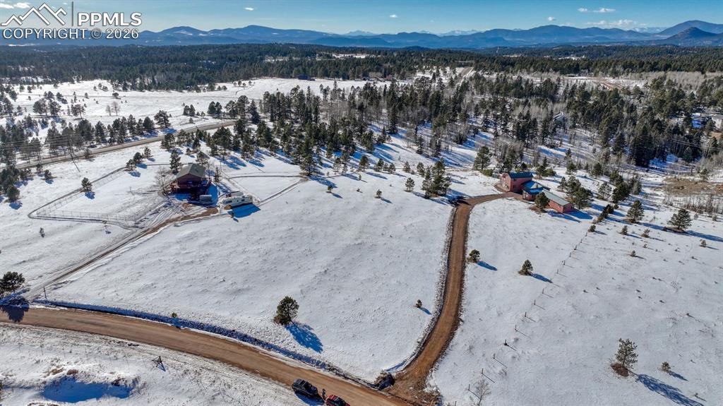 866 Aspen Village Road Divide, CO 80814 - Photo 6 of 23