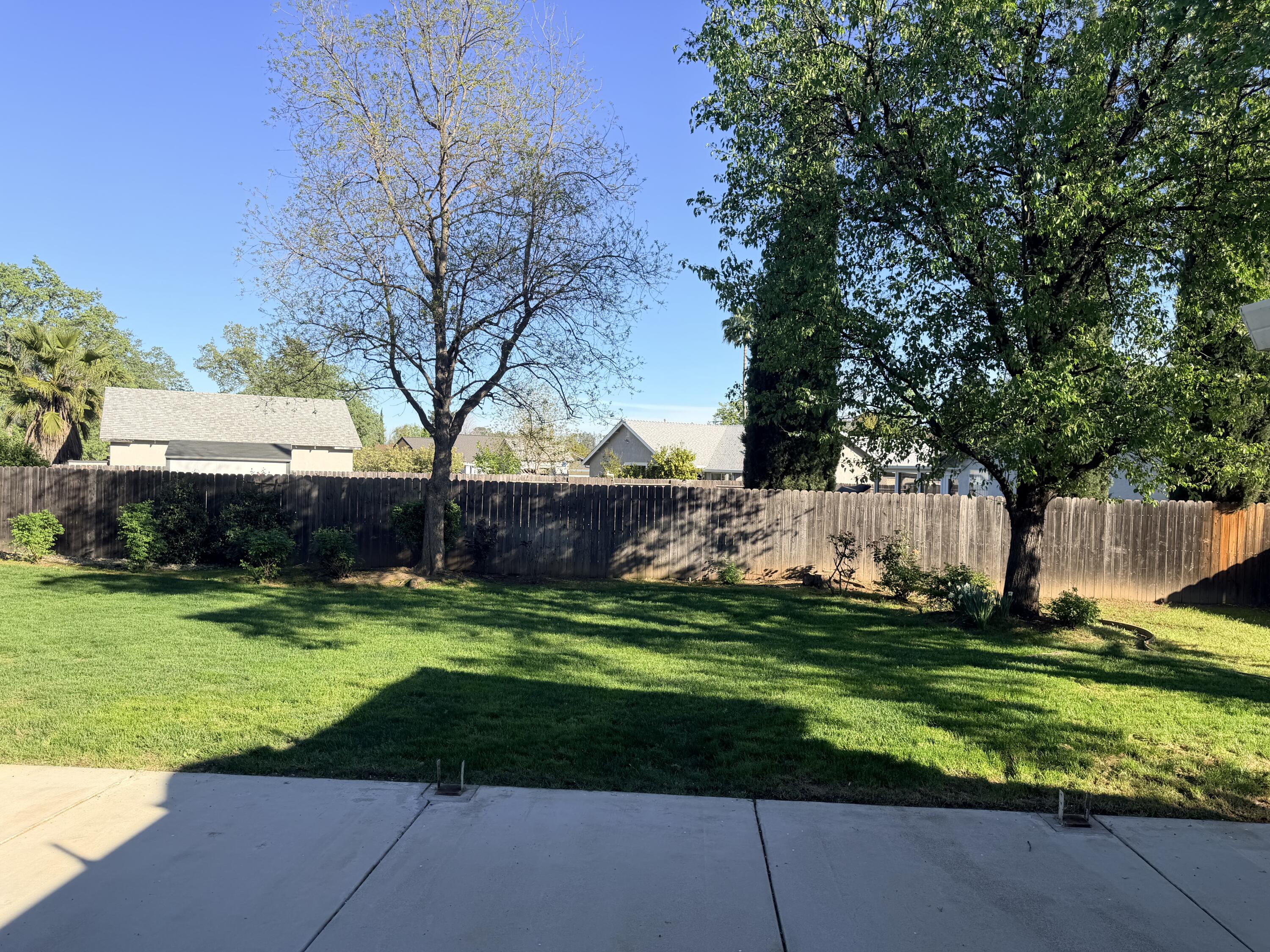 4365 Heather Ridge Lane Redding, CA 96001 - Photo 19 of 21 a view of a backyard with plants and large trees