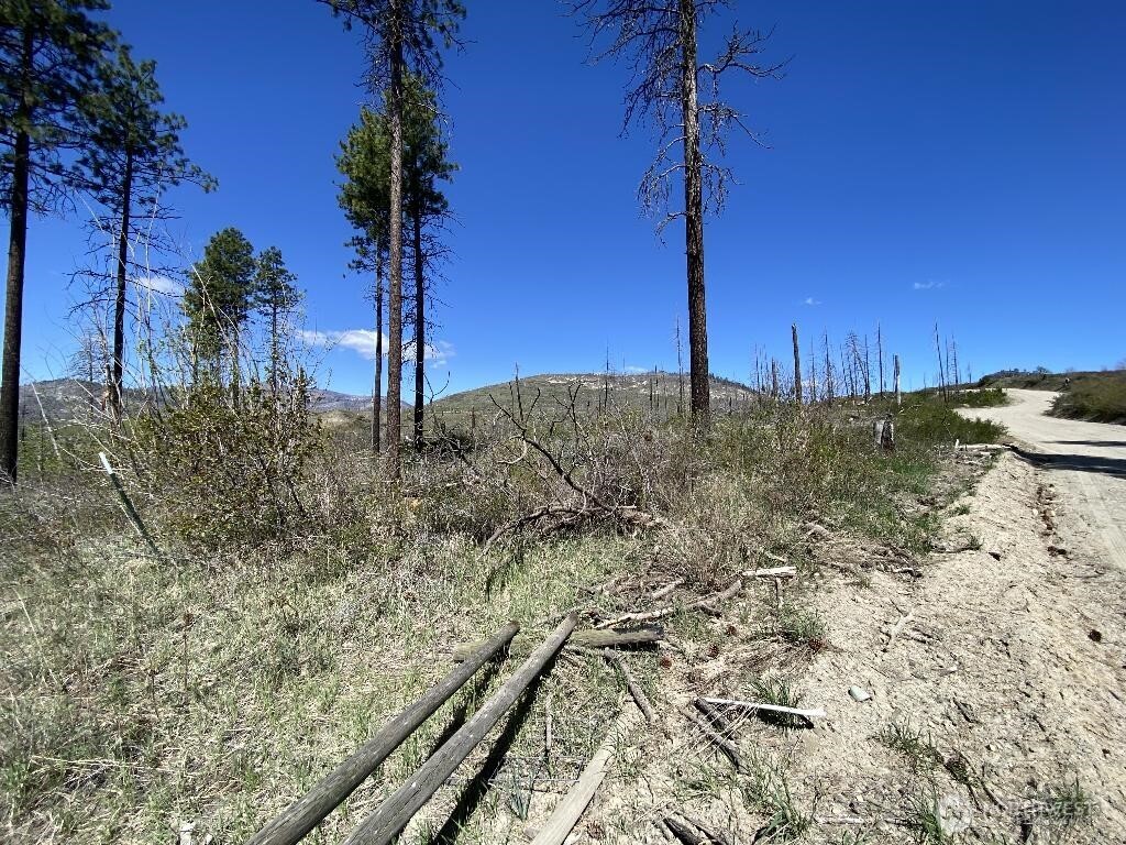 123-tbd Buzzard Lake Road Okanogan, WA 98840 - Photo 2 of 15