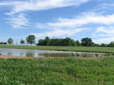 2205 North Middletown Road Paris, KY 40361 - Photo 2 of 7 Photo 2