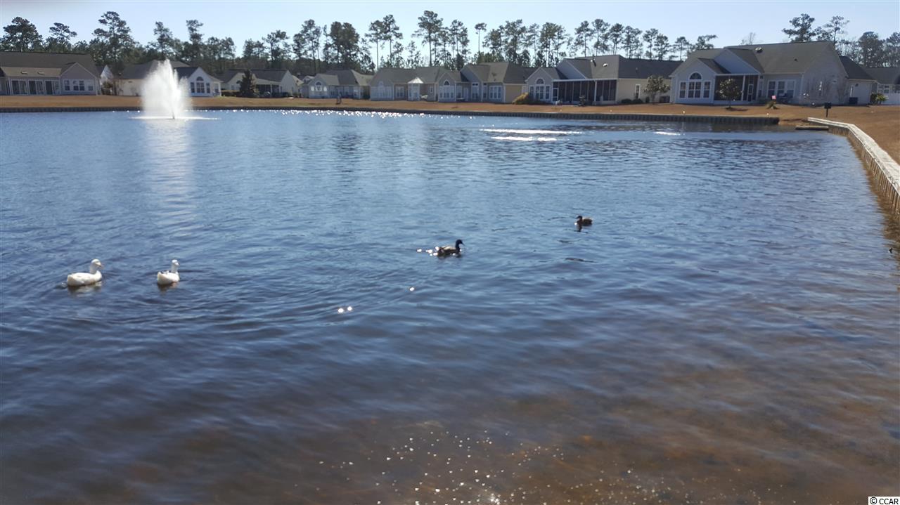 29 Bear Creek Loop Murrells Inlet, SC 29576 - Photo 23 of 23 Gallery Image 23