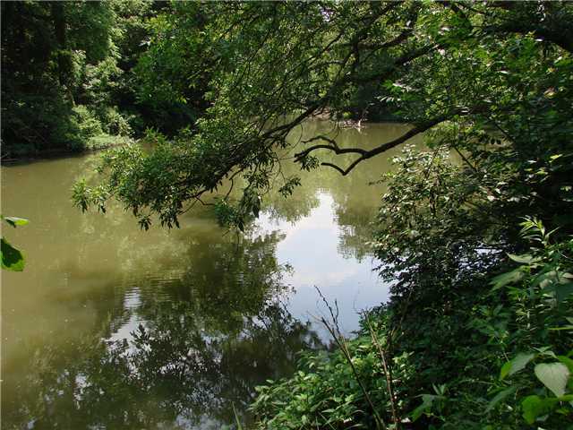 0 West Road West Jefferson, OH 43162 - Photo 1 of 5